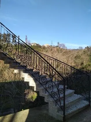White Guest House - Dış Mekan