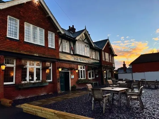 The White Hart - Dış Mekan
