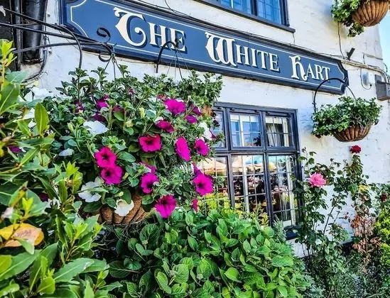 The White Hart - Dış Mekan