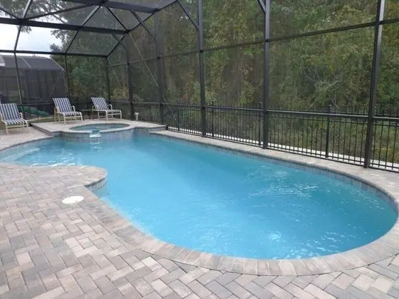 White Heron, 5 Bedroom, 3 Bath Disney Vacation - Havuz