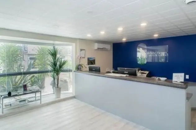 White Heron Motor Lodge - Lobi