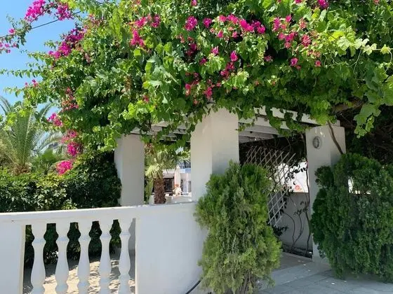 White Palace Studios - Dış Mekan