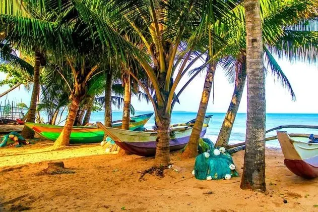 White Ro Resort - Plaj