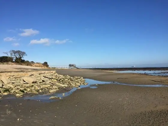 White Roses Coastal Holiday Home for 2 Plus dog Beach 400 Yards - Oda