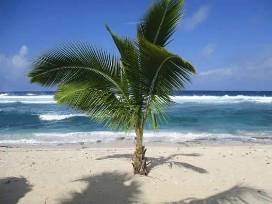 White Sands Beach Resort Tonga - Plaj
