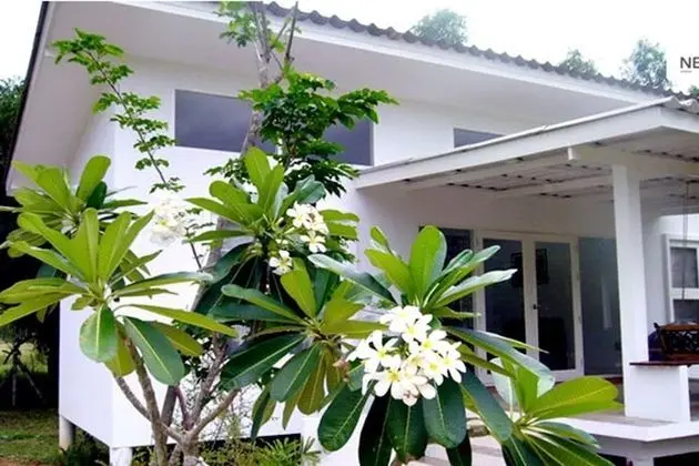 White at Sea Resort - Dış Mekan