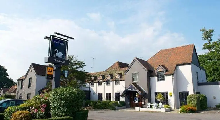 The White Swan