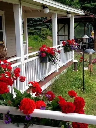 Whiteface Farm Adirondack Bed and Breakfast - Dış Mekan