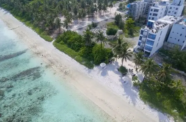 Whiteharp Beach Inn