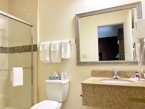 WHITNEY INN SUITES - Banyo Özellikleri