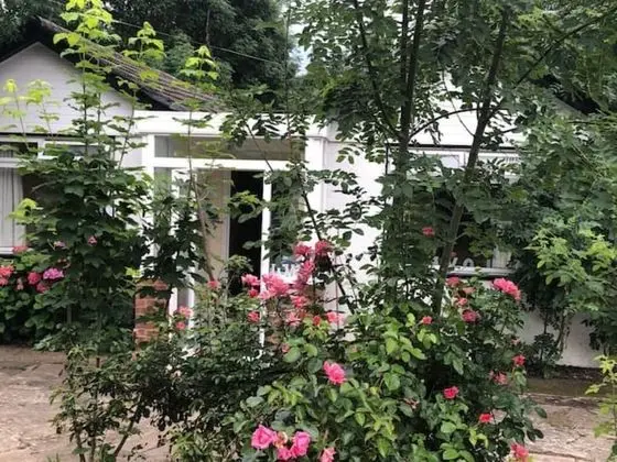 Whole House Cottage  with huge Garden