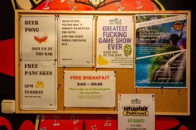 Whole Wide World Hostel & Bar - Genel