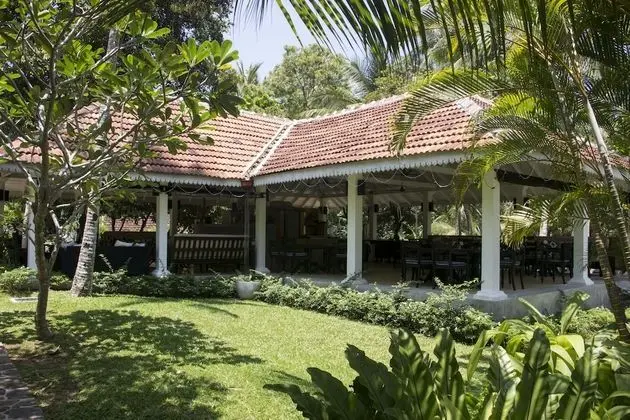 Why House - Dış Mekan
