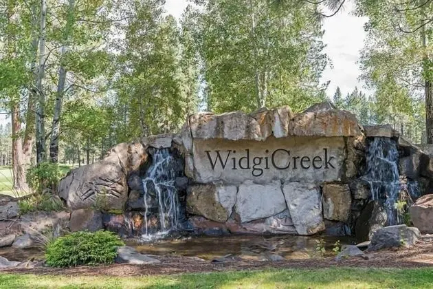 Widgi Elk Wonder