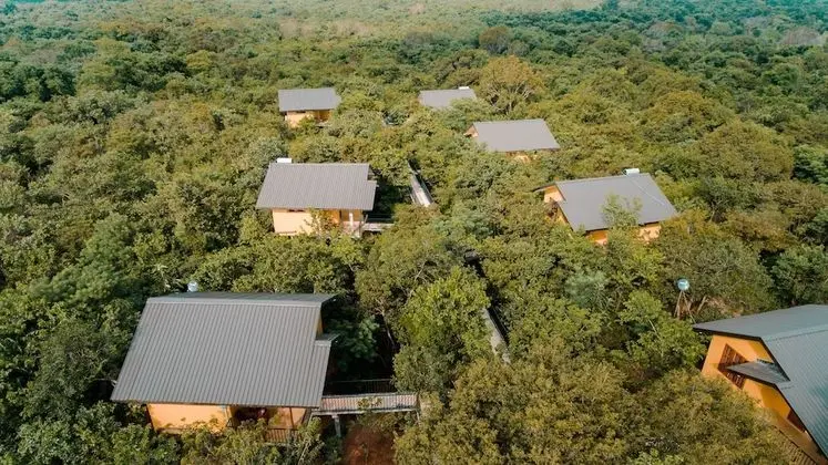 Hotel Wild Air