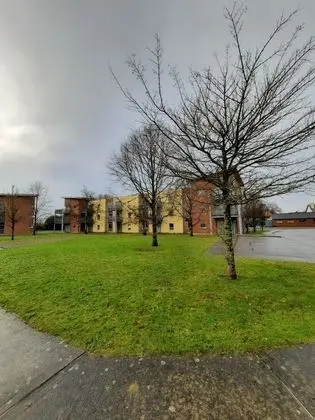 Wild Atlantic Apartments Killarney - Dış Mekan