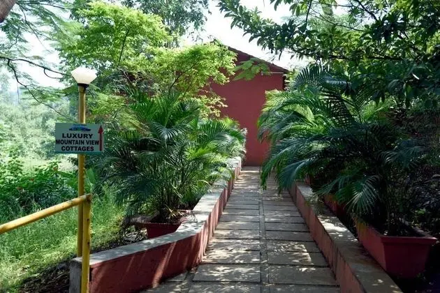 Wild Camp Resort