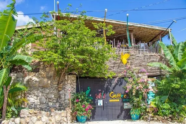 Wild Coffee Retreat - Adults Only - Dış Mekan