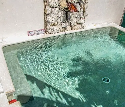 Wild Coffee Retreat - Adults Only - Havuz