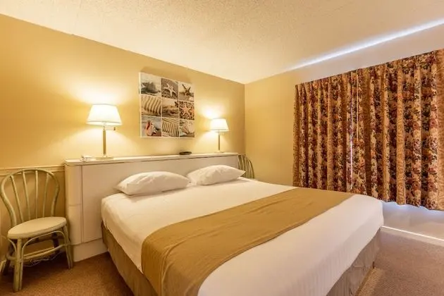 Wild Dunes Inn - Oda