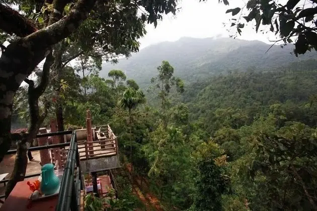 Wild Elephant Eco-Friendly Resort - Oda Manzaraları