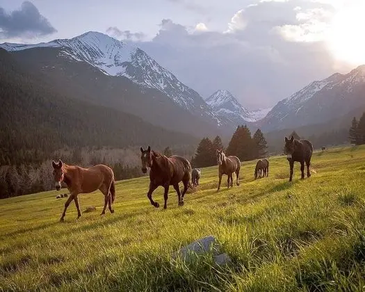 The Wild Game Inn - Dış Mekan