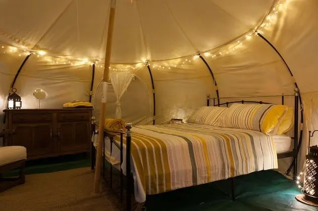 Wild Lotus Camp- Glamping - Öne Çıkan Resim