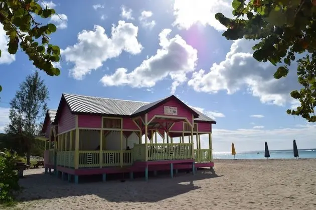 Wild Lotus Camp- Glamping - Plaj