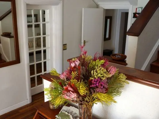 Wild Olive Guest House - Lobi