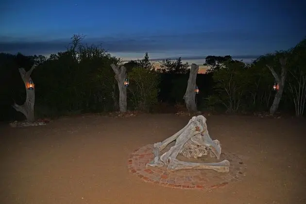 Wild Olive Tree Camp - Fitness