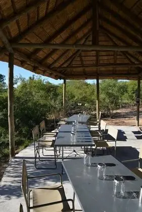 Wild Olive Tree Camp - Yerinde Yemek