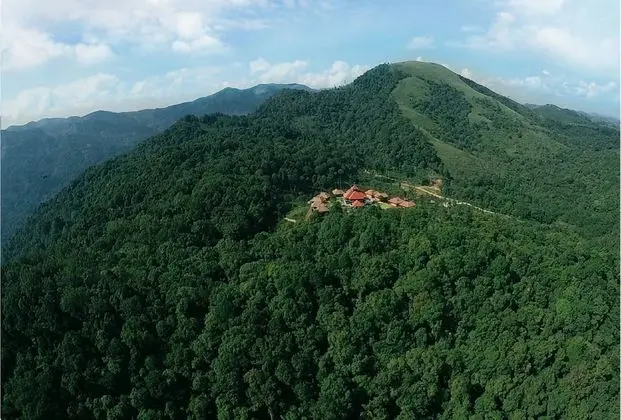Wild Planet Resort