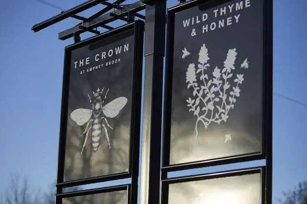 Wild Thyme & Honey