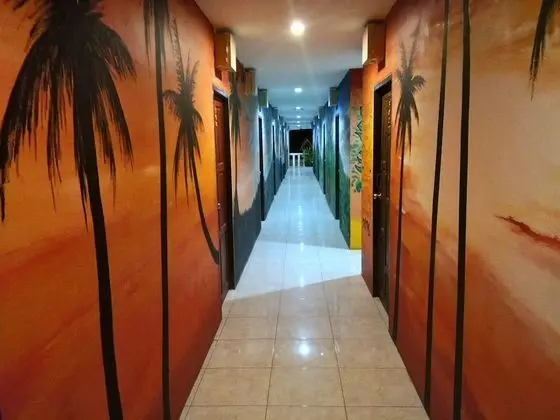 Wild & Wandering Backpacker & Bar - İç Mekan