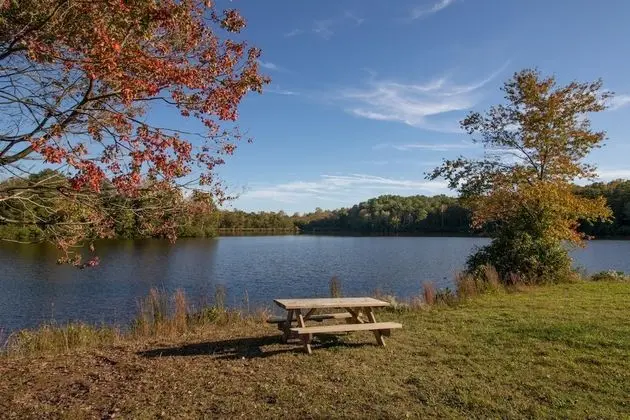 Wilderness Presidential By Tripforth