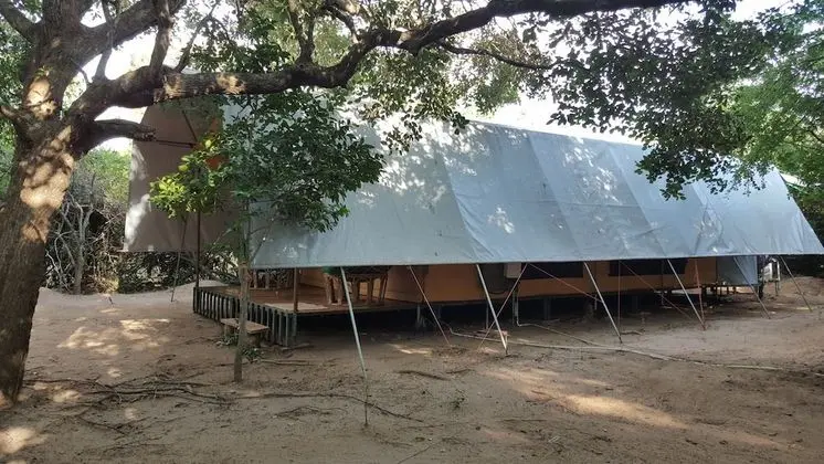 Wilderness Retreat Camping - Yala