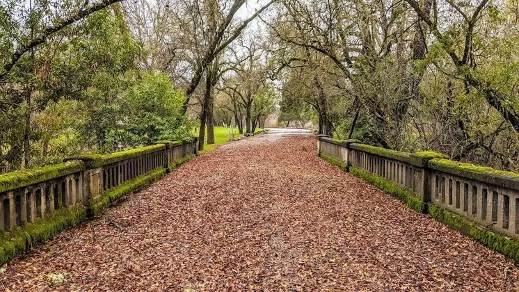 Wildhaven Sonoma Glamping - Dış Mekan