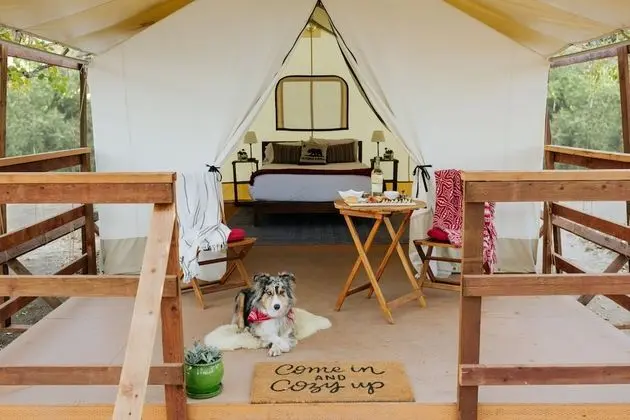 Wildhaven Sonoma Glamping - Oda
