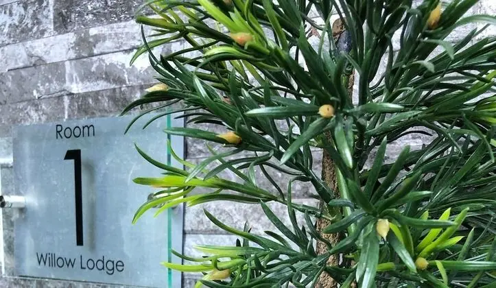 Willow Lodge Hambleton - Öne Çıkan Resim