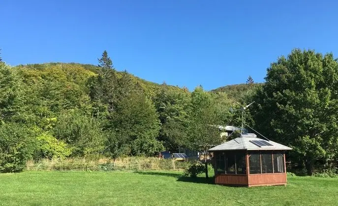 Willow Retreat