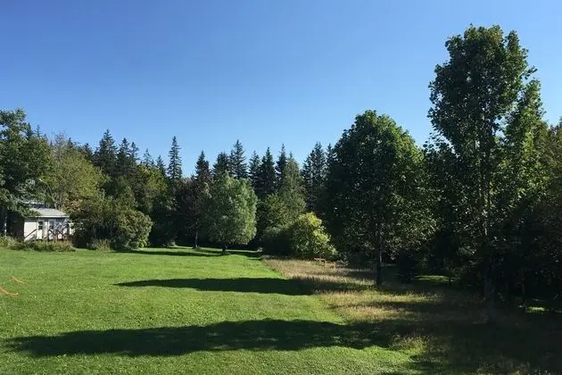 Willow Retreat - Dış Mekan
