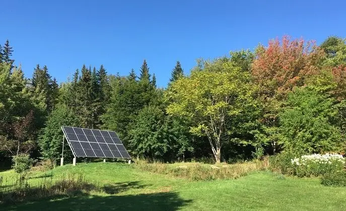 Willow Retreat - Dış Mekanlar