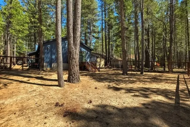 Willow's Hideaway - Dış Mekan