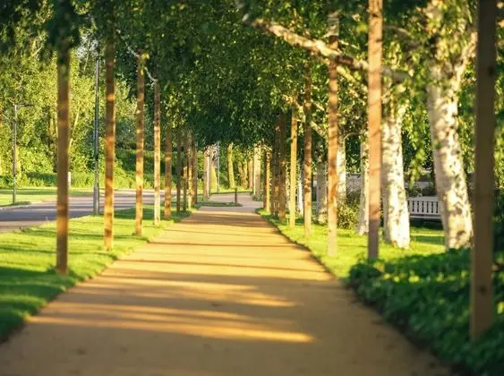 The Willows Training Centre - Öne Çıkan Resim
