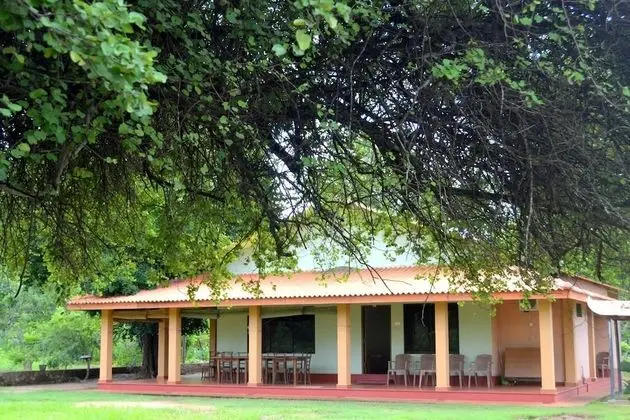 Wilpattu Dilsara Holiday Resort - Oda Düzeni