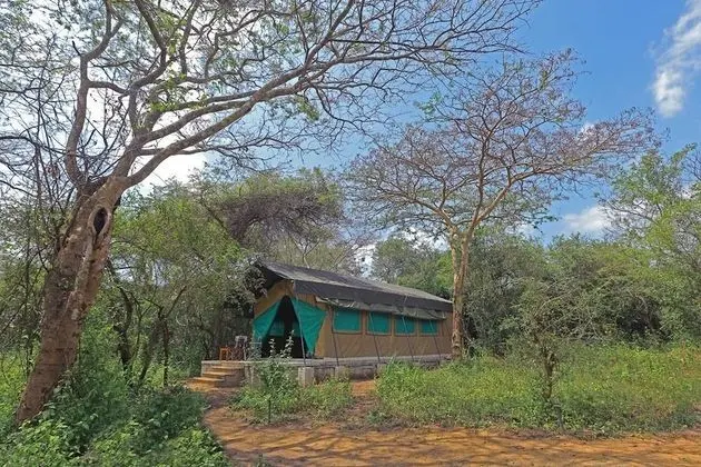 Wilpattu Safari Camp - Campground - Dış Mekan