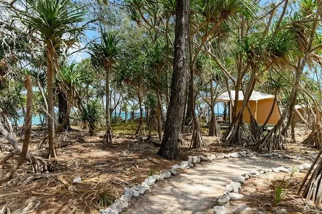 Wilson Island - Dış Mekan