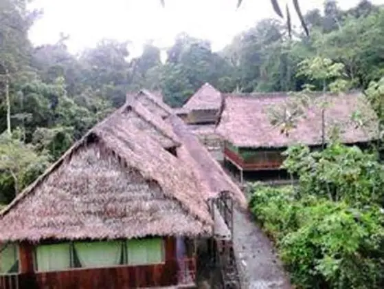 Wimba Jungle Lodge