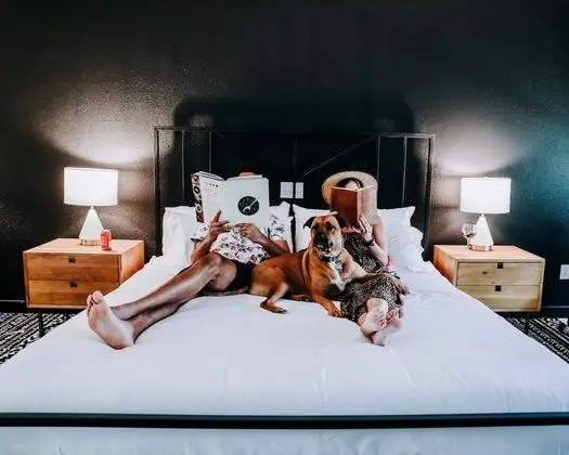 Wimberley Inn - Öne Çıkan Resim