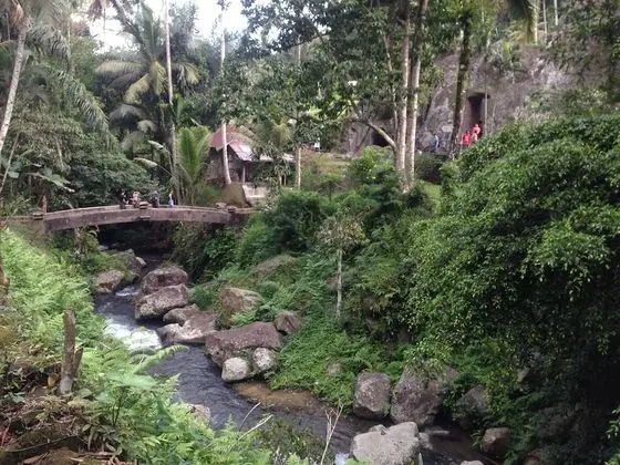 Wina Ubud B&B